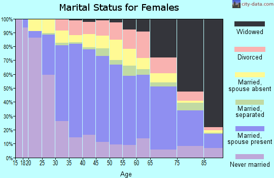 Zip code 11355 marital status for females