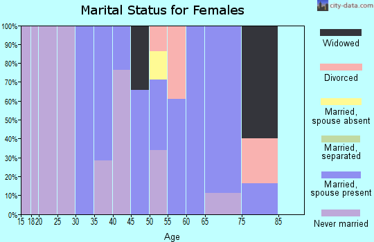 Zip code 11941 marital status for females