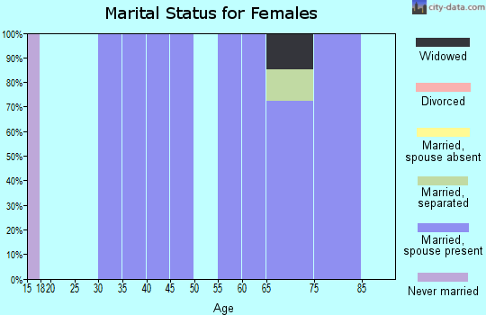 Zip code 12008 marital status for females