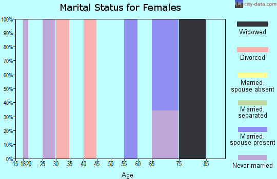 Zip code 12041 marital status for females