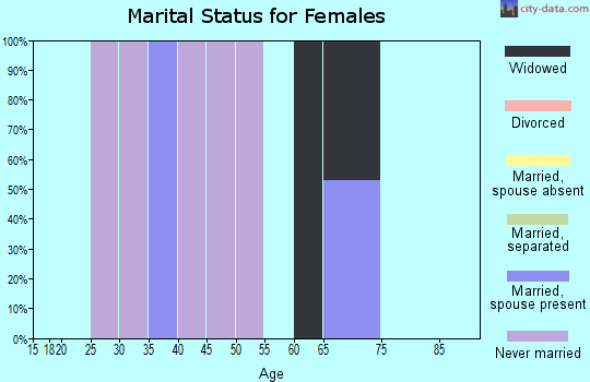 Zip code 12045 marital status for females