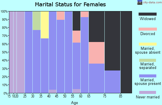 Zip code 12121 marital status for females