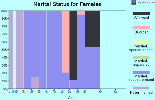 Zip code 12153 marital status for females