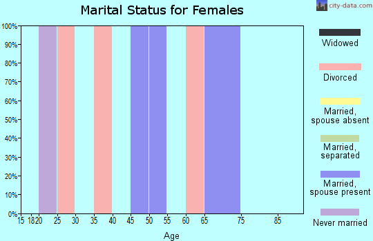 Zip code 12169 marital status for females
