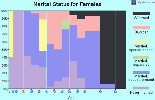 Zip code 12173 marital status for females