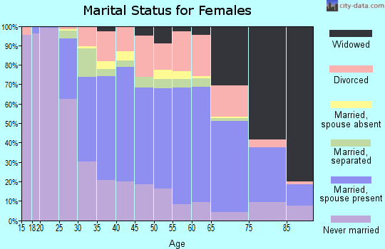 Zip code 12306 marital status for females