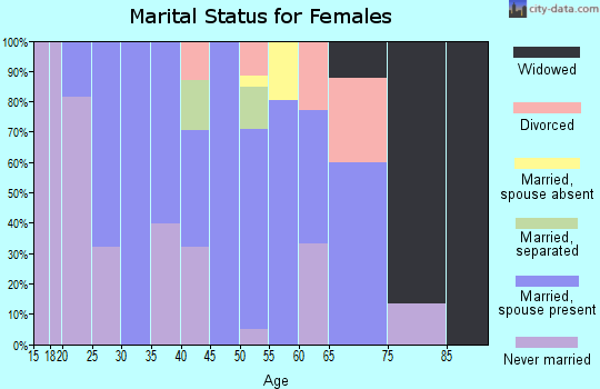 Zip code 12501 marital status for females