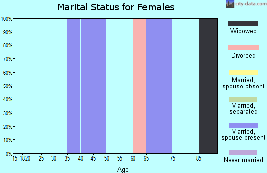 Zip code 12513 marital status for females