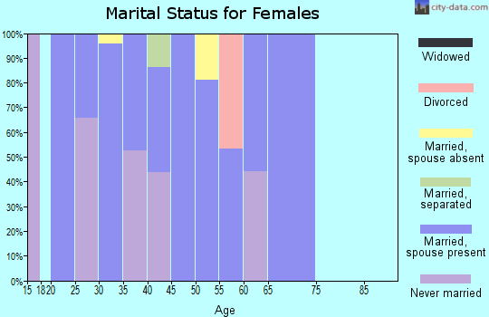 Zip code 12515 marital status for females