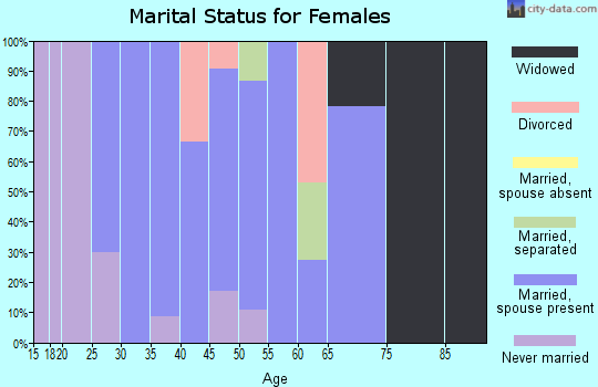 Zip code 12525 marital status for females