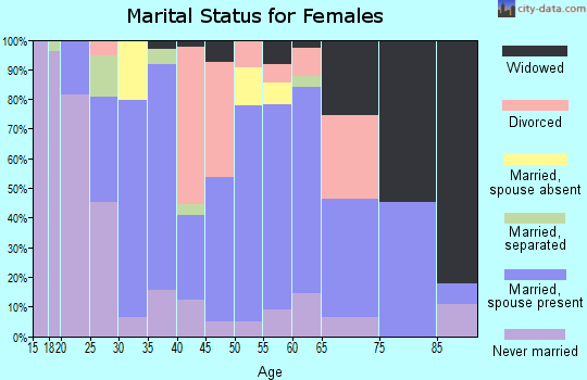 Zip code 12526 marital status for females