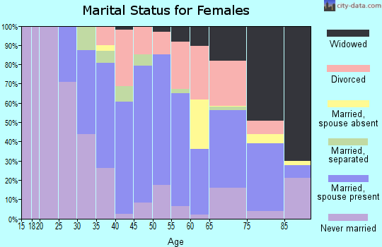 Zip code 12528 marital status for females