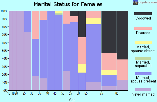 Zip code 12531 marital status for females
