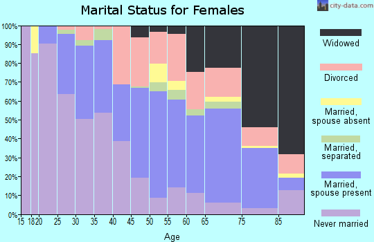 Zip code 12534 marital status for females