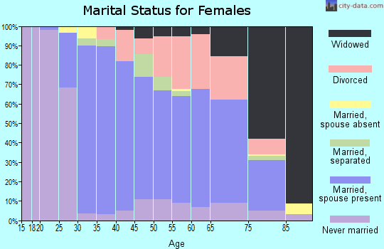 Zip code 12538 marital status for females