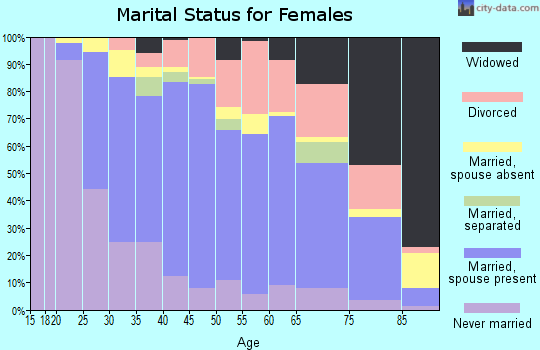 Zip code 12553 marital status for females