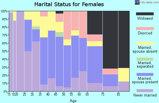 Zip code 12563 marital status for females