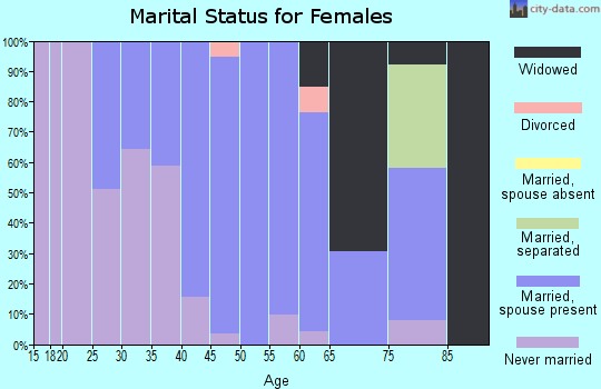 Zip code 12578 marital status for females