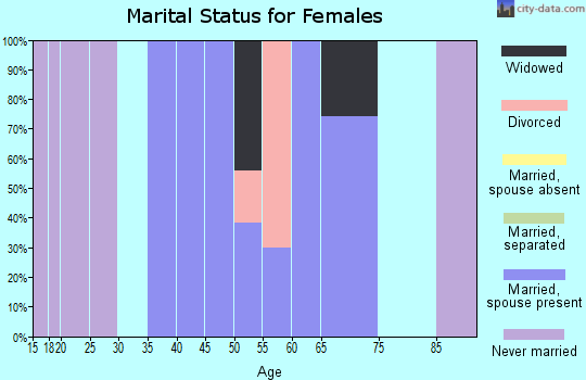 Zip code 12585 marital status for females