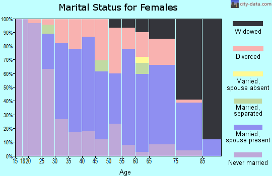 Zip code 12803 marital status for females