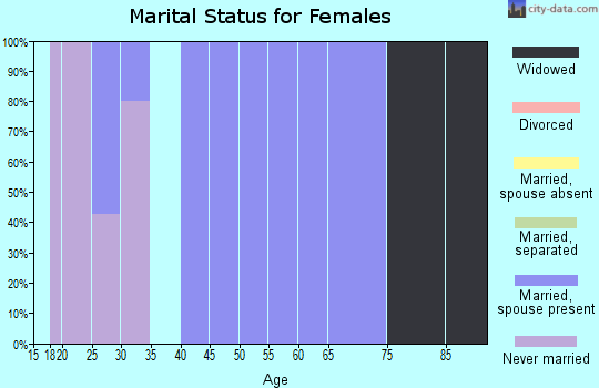 Zip code 12838 marital status for females
