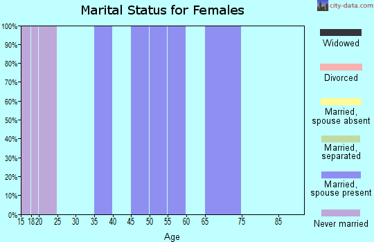Zip code 12844 marital status for females