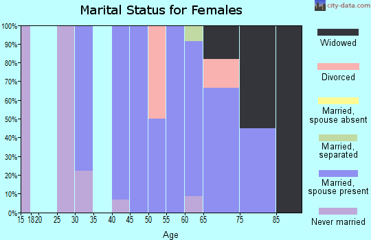 Zip code 12847 marital status for females
