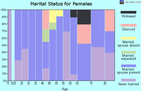 Zip code 12859 marital status for females