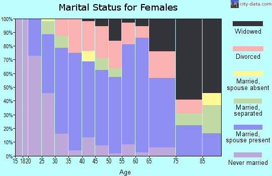 Zip code 12887 marital status for females