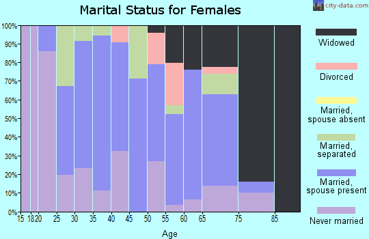 Zip code 12912 marital status for females