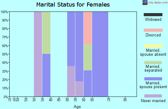 Zip code 12943 marital status for females