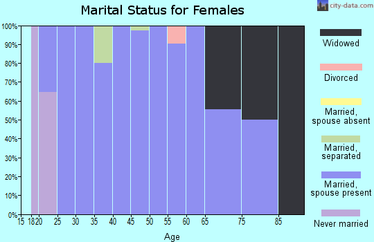 Zip code 12960 marital status for females