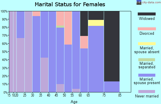Zip code 12985 marital status for females