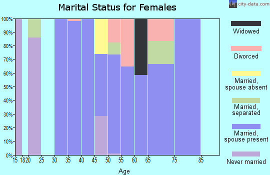Zip code 13028 marital status for females