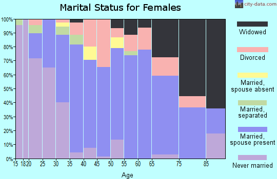 Zip code 13040 marital status for females