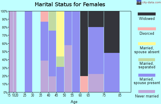 Zip code 13054 marital status for females