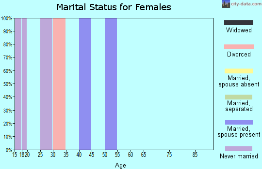 Zip code 13062 marital status for females
