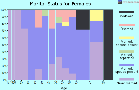 Zip code 13111 marital status for females