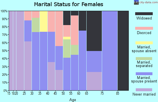 Zip code 13120 marital status for females