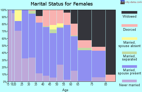 Zip code 13131 marital status for females