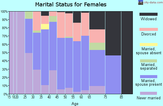 Zip code 13135 marital status for females