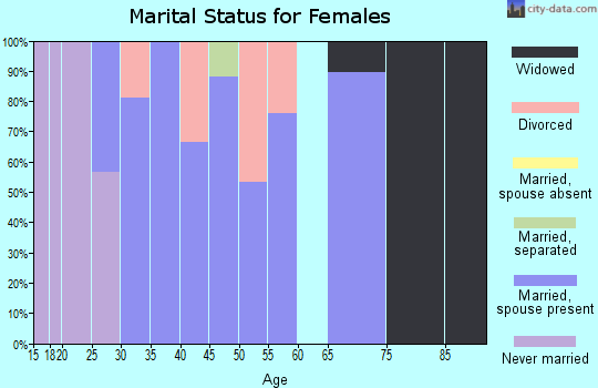 Zip code 13141 marital status for females