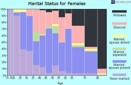 Zip code 13165 marital status for females