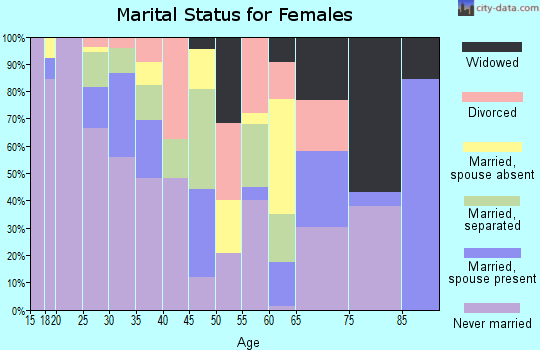 Zip code 13202 marital status for females