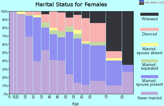 Zip code 13207 marital status for females