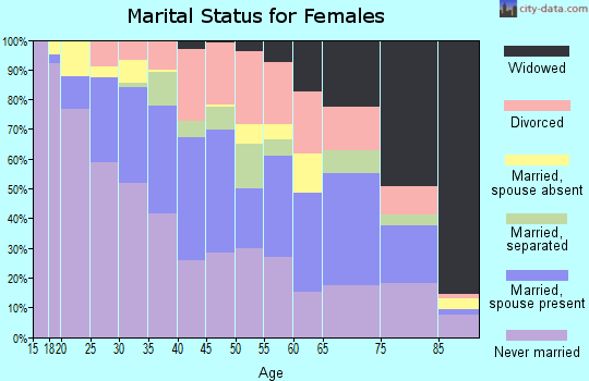 Zip code 13208 marital status for females