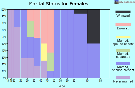 Zip code 13313 marital status for females