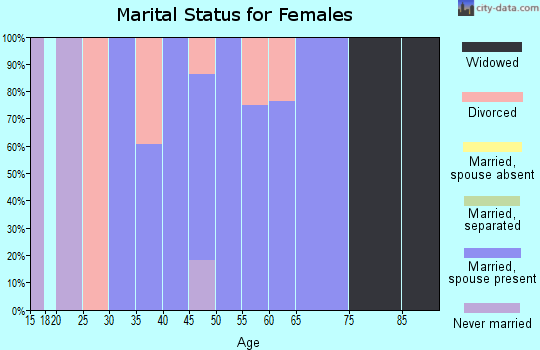 Zip code 13314 marital status for females