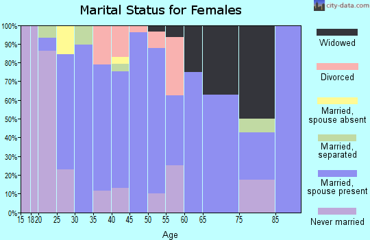 Zip code 13315 marital status for females
