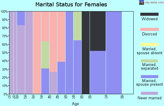 Zip code 13319 marital status for females